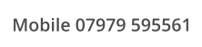 Mobile 07979 595561